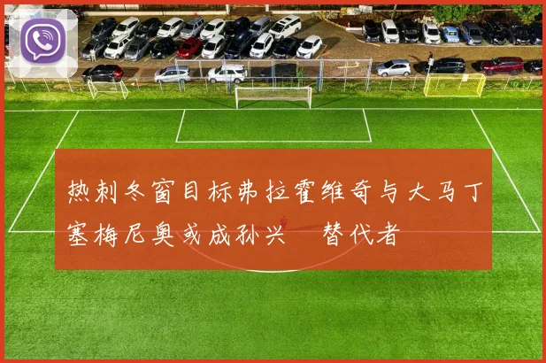 热刺冬窗目标弗拉霍维奇与大马丁塞梅尼奥或成孙兴慜替代者