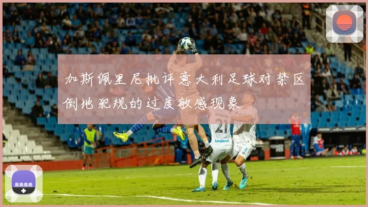 加斯佩里尼批评意大利足球对禁区倒地犯规的过度敏感现象