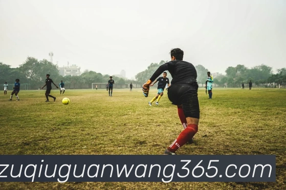 沙巴体育平台生态图